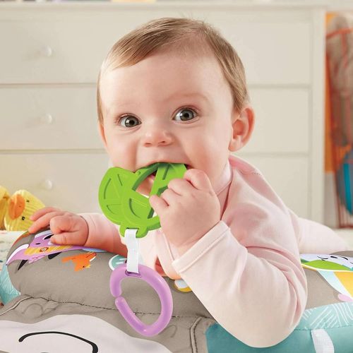 купить Музыкальная игрушка Fisher Price GRR01 Jucărie educațională de pluș pentru jocul pe burtică Leneșul в Кишинёве 