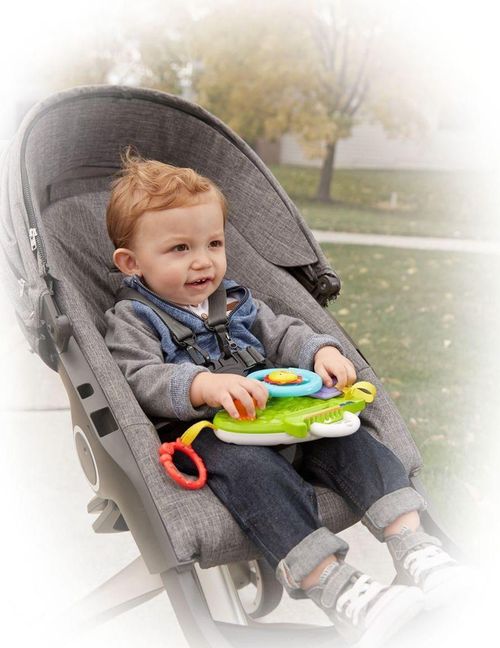 купить Музыкальная игрушка miscellaneous DYW53 Jucarie educativa Leul muzical в Кишинёве 