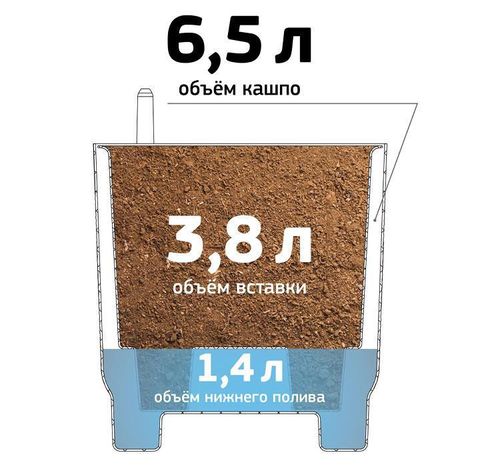 cumpără Ghiveci pentru flori Idea М3242 Шэнк D220мм 6.5л în Chișinău 