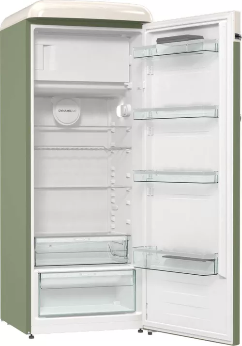 cumpără Frigider cu design autentic Gorenje OBRB615DOL în Chișinău 