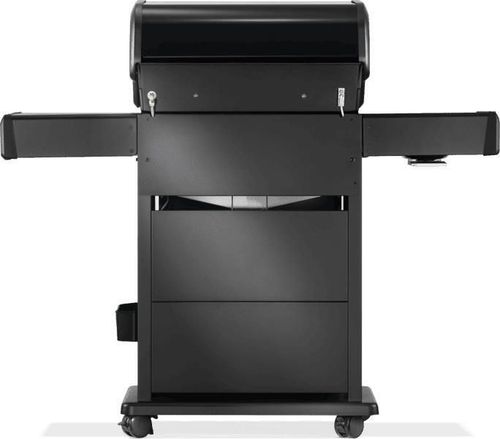 купить Мангал Napoleon Rogue PRO-S 425, gratar gaz (RPS425RSIBPK-2) в Кишинёве 