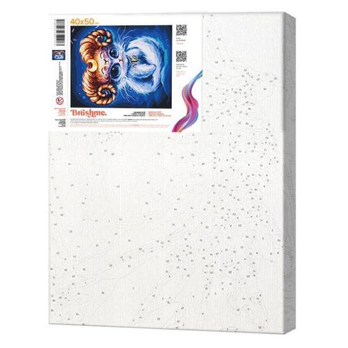 cumpără Tablou pe numere BrushMe BS53913 Pictura pe numere 40x50cm Eco Motan Capricorn în Chișinău 