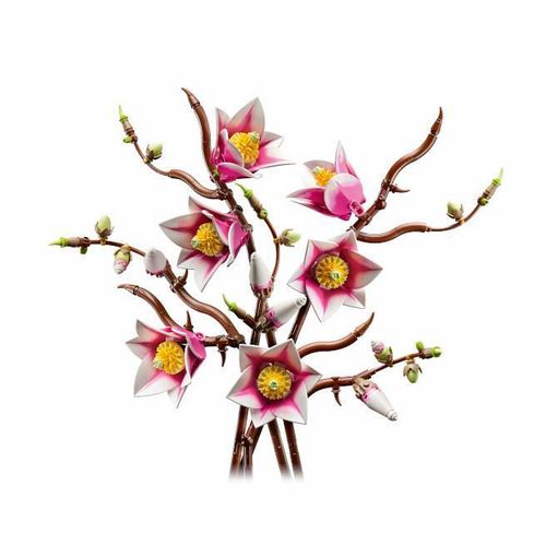 cumpără Set de construcție Lego 11510 Botanicals: Ramuri de Magnolie în Chișinău 