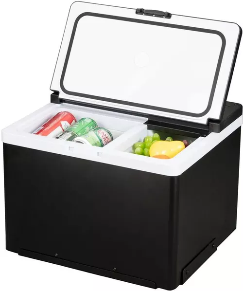 купить Холодильник портативный Frigo 11-ARC35 35 L для фуры 12/24V в Кишинёве 