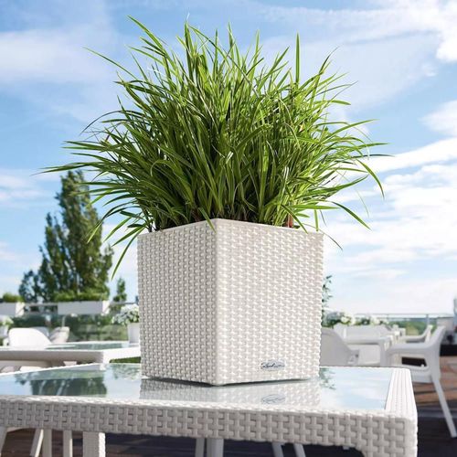 купить Цветочный горшок Lechuza Cube Cottage 30, White в Кишинёве 