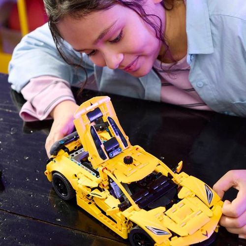 cumpără Set de construcție Lego 42205 Technic Chevrolet Corvette Stingray în Chișinău 