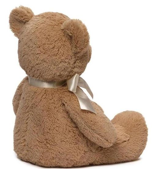 cumpără Jucărie de pluș Baby Gund 6048630 My 1st Teddy Tan 45cm în Chișinău 