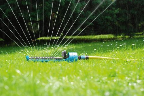 купить Дождеватель Cellfast 52071 Маятниковый ороситель ECONOMIC в Кишинёве 