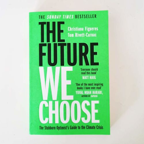 купить THE FUTURE WE CHOOSE (Christiana Figueres & Tom Rivett-Carnac) в Кишинёве 