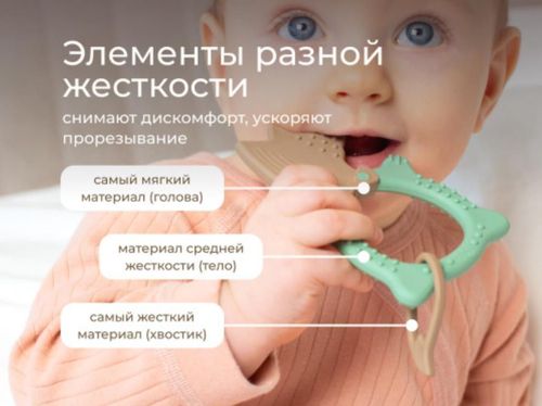 cumpără Iinel dentiție Roxy Kids RBT20033 FOX, оливковый în Chișinău 