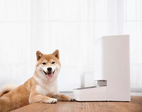 cumpără Bol pentru câini și pisici Xiaomi Smart Pet Food Feeder în Chișinău 