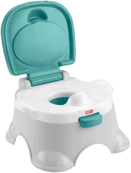 купить Детский горшок Fisher Price GYP61 Горшок в Кишинёве 