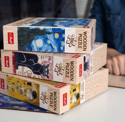 купить Головоломка Trefl 20248 Vincent van Gogh „The Starry Night”  (200 pcs) в Кишинёве 