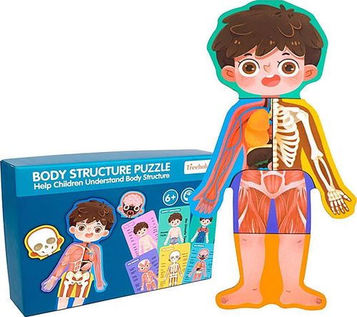 купить Головоломка miscellaneous 11134 Jucarie din lemn Body Structure 237-1455 в Кишинёве 