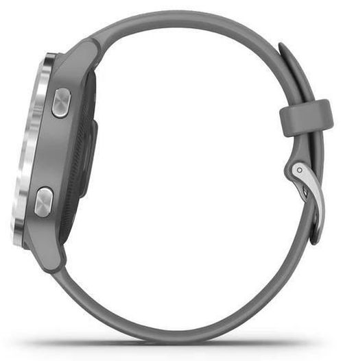 купить Фитнес-трекер Garmin vivoactive 4S Powder Gray/Silver, S.EU в Кишинёве 