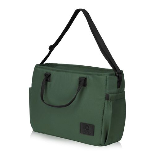 купить Детская коляска Lionelo Carucior 2in1 Layla Green Forest в Кишинёве 