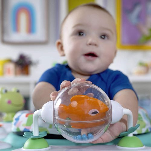 купить Игровой комплекс для детей Bright Starts 11565 Centru de activitati 2 in 1 Playful Pond в Кишинёве 