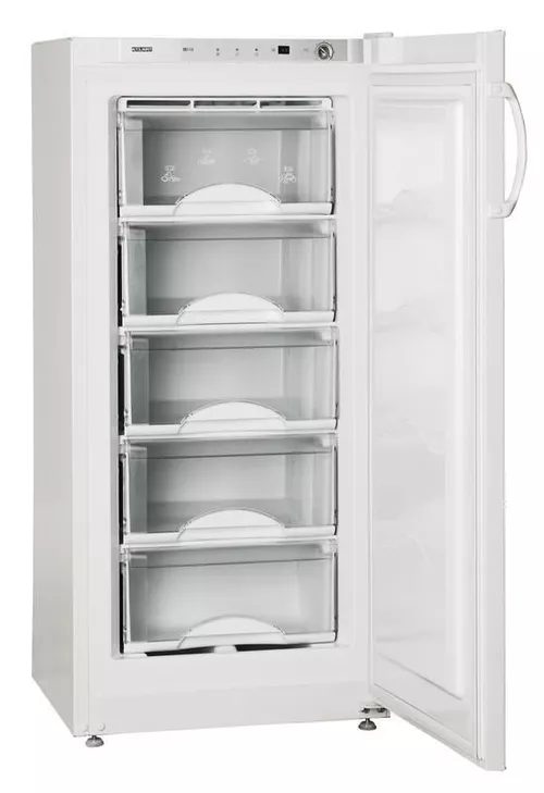купить Морозильник Atlant M 7201-090(100) в Кишинёве 