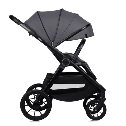 купить Детская коляска Lionelo Carucior 2in1 Layla Grey Stone в Кишинёве 