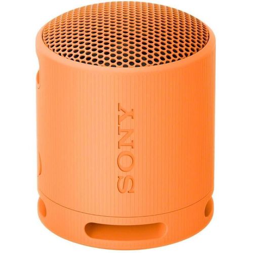 купить Колонка портативная Bluetooth Sony SRSXB100D в Кишинёве 