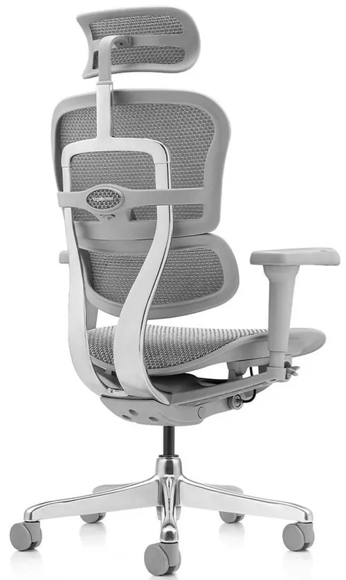 cumpără Fotoliu de birou ART Ergohuman Ultra Natural T-168-B2 EHU-AG-HAM-4D în Chișinău 