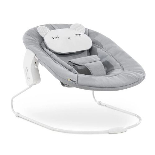 cumpără Leagăn pentru bebeluși Hauck Alpha Bouncer 2in1 Pastel Bear Light Grey în Chișinău 