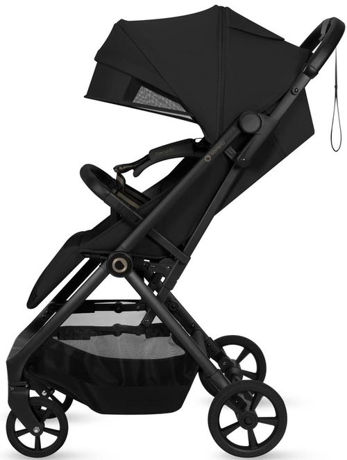 купить Детская коляска Lionelo Tansi Black Onyx в Кишинёве 