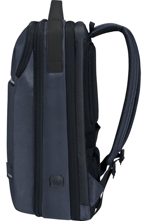 купить Рюкзак для ноутбука Samsonite Litepoint (134550/1090) в Кишинёве 