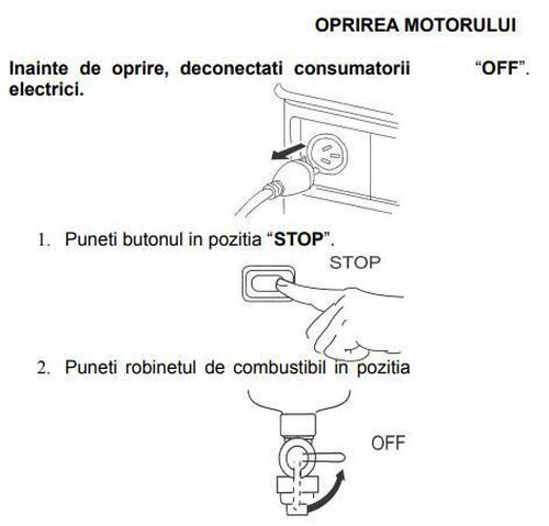 cumpără Generator Stager GG 950DC în Chișinău 