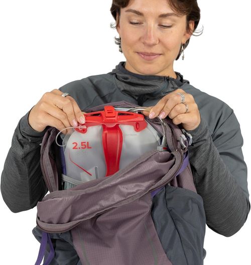 купить Туристический рюкзак Osprey Hikelite 28 Graphite Purple (810165747685) в Кишинёве 