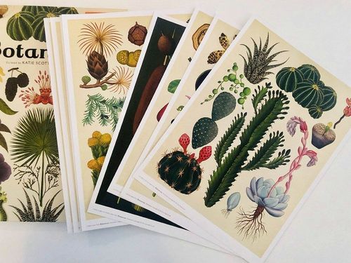 cumpără Botanicum Collectors edition -by Kathy Willis(eng) în Chișinău 