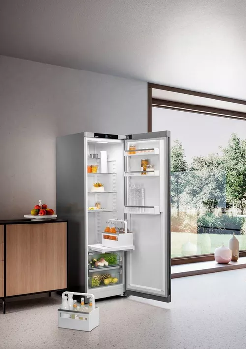 купить Холодильник однодверный Liebherr RDsfd 5220 в Кишинёве 