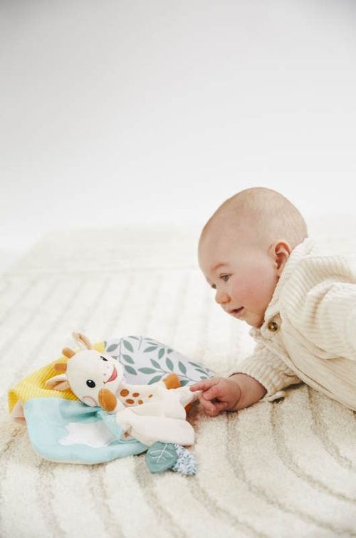 купить Мягкая игрушка Sophie la Girafe 850805 Doudou в Кишинёве 