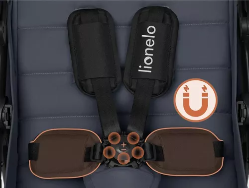купить Детская коляска Lionelo Iva Grey Graphite в Кишинёве 