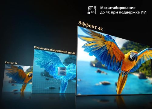 купить Телевизор Hisense MiniLED 55U7Q в Кишинёве 