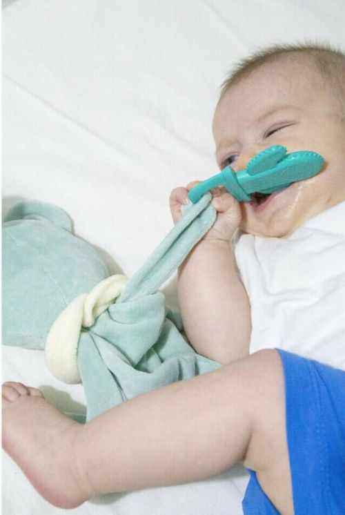 купить Игрушка-прорезыватель BabyJem 680 Jucarie atasament cu jucarie dentitie Sleeping Friend Verde в Кишинёве 