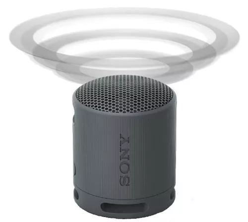 cumpără Boxă portativă Bluetooth Sony SRSXB100B în Chișinău 