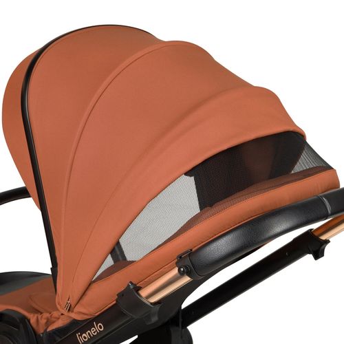 купить Детская коляска Lionelo Carucior 2in1 Layla Brown Rust в Кишинёве 