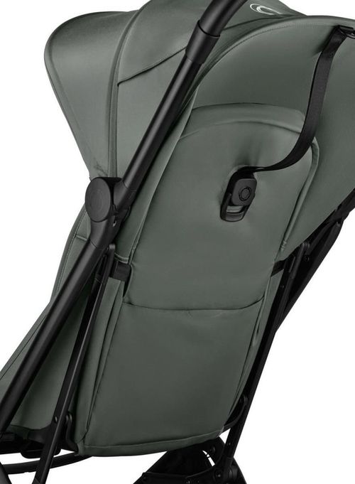купить Детская коляска Bugaboo BG100338025 Butterfly 2 Black/Forest Green в Кишинёве 