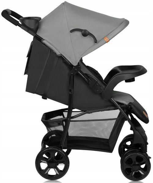 купить Детская коляска Lionelo Emma Plus Grey Dove в Кишинёве 