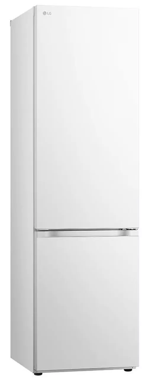 cumpără Frigider cu congelator jos LG GBV3200DSW în Chișinău 