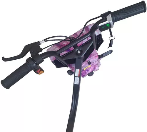 купить Детский карт Hausberg HB-KD05RZ 250W 36V 4400 mAh roz в Кишинёве 