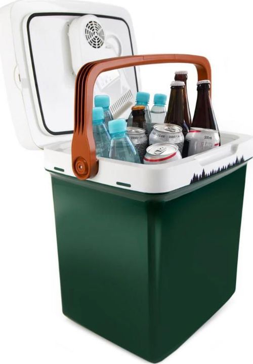 купить Холодильник портативный Peme Ice-on 27 Pine Forest в Кишинёве 