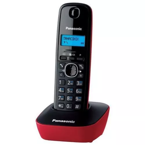 cumpără Telefon fără fir Panasonic KX-TG1611UAR în Chișinău 