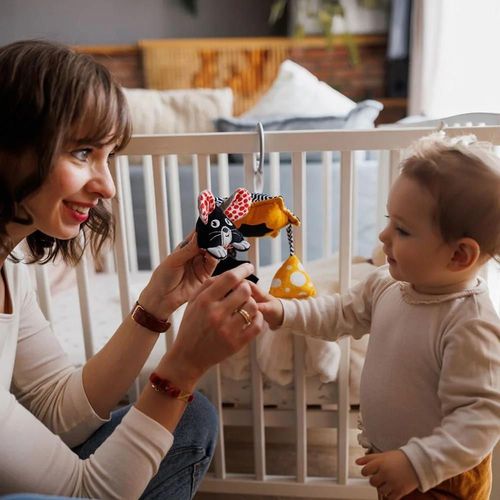 cumpără Carusel pentru pătuț BabyOno 1678 Jucarie Carusel MOUSE în Chișinău 