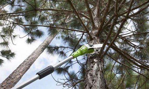 купить Кусторез Greenworks G24PS20 в Кишинёве 