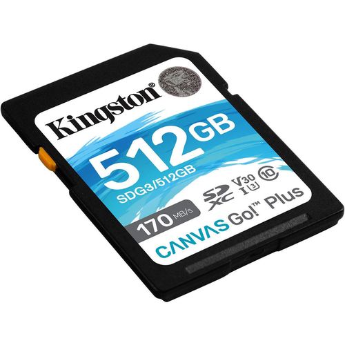cumpără Card de memorie flash Kingston SDG3/512GB în Chișinău 
