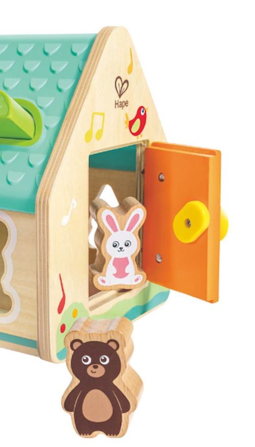 купить Головоломка Hape E0515 Sorter Căsuța cu animale в Кишинёве 