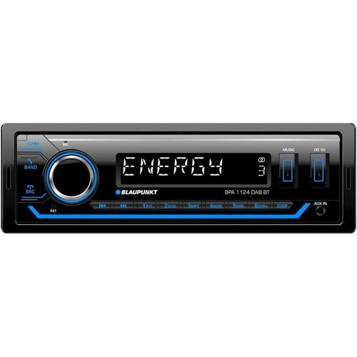 купить Авто-магнитола Blaupunkt BPA 1124 BT в Кишинёве 