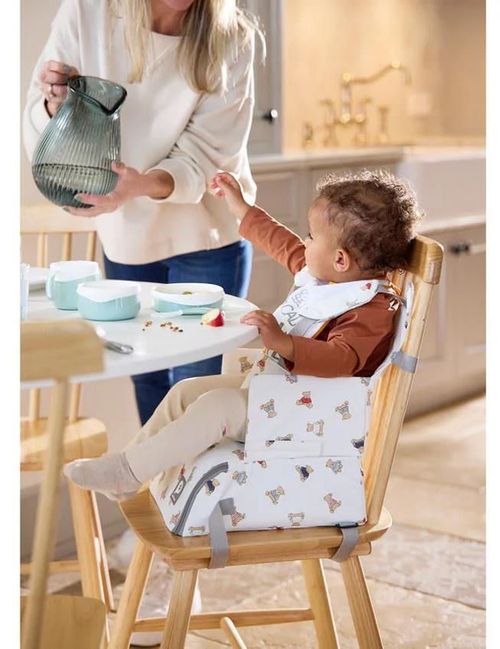 cumpără Scaun de masă Premaman PRFBDH-CCC-UNQ Scaun de masa pliabil Premaman Bear 2.0 în Chișinău 